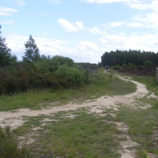 Vogelschutzgebiet Drover Heide