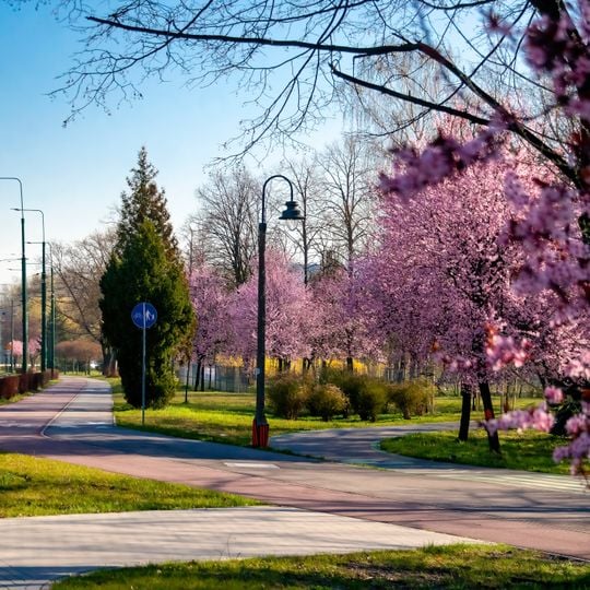Sielecki Park in Sosnowiec