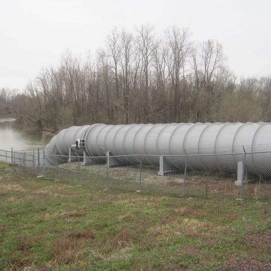 Marked Tree Lock and Siphons