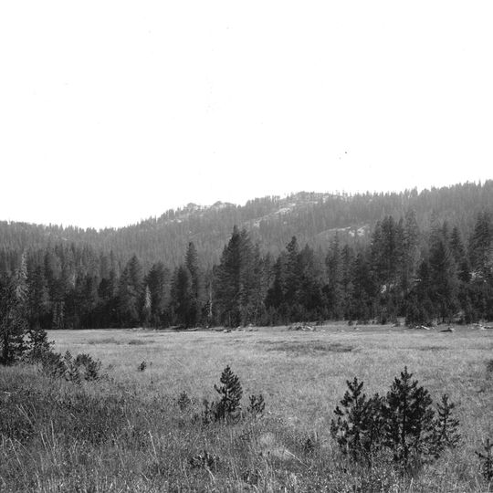 McGurk Meadow