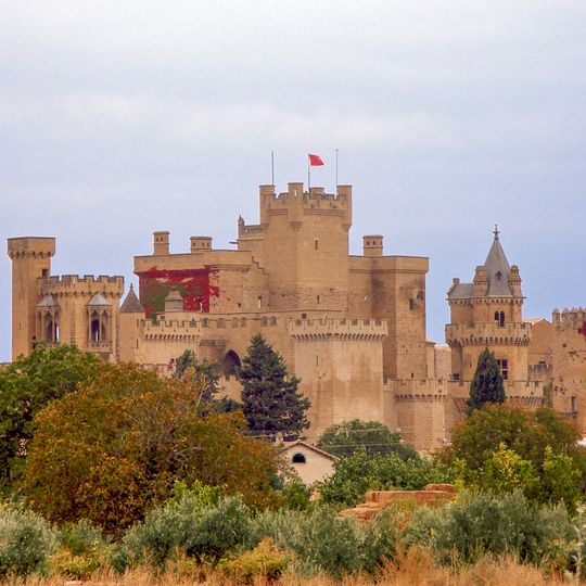 Palazzo Reale di Olite