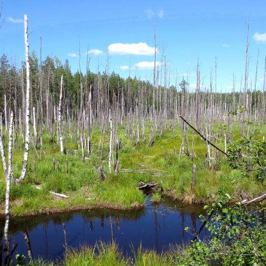 Kerzhinski Nature Reserve