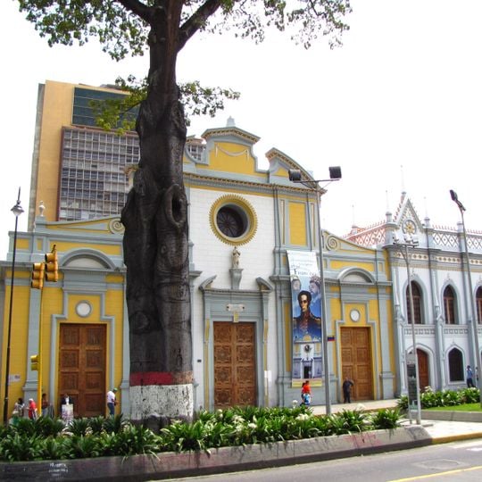 Ceiba de San Francisco