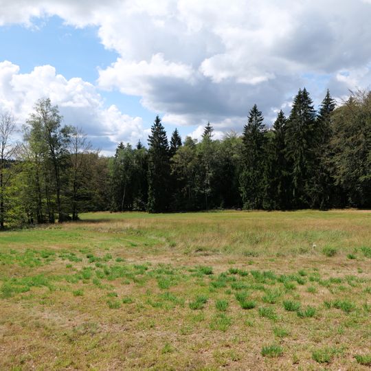 Schmittröder Wiesen und angrenzende Flächen