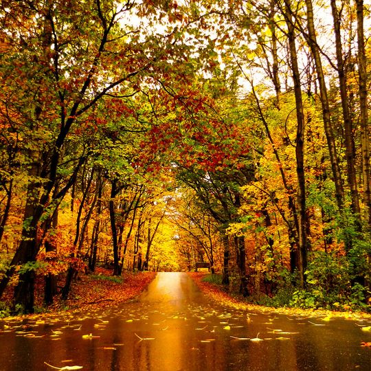 Lake Maria State Park