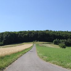 Stempel-Höhe