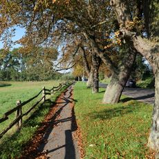 Kastanienallee Kummerow