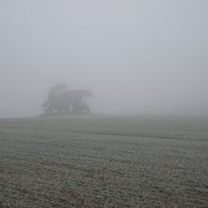 Bowl barrow, 452m north west of Cameleon Lodge