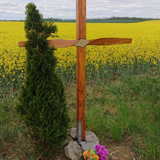 Dřevěný kříž v Dolní trati