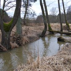 Přírodní park Plziny