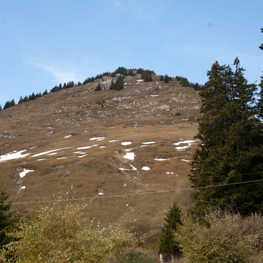 Mont d'Or