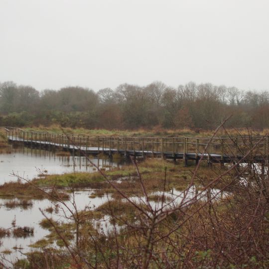 Réserve naturelle nationale des marais de Séné