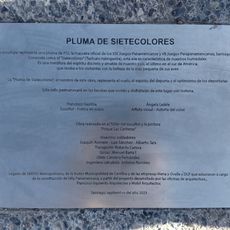 Pluma de Sietecolores