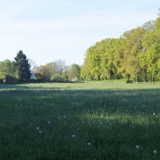 Feuchtgebiet bei Meyer zu Stieghorst