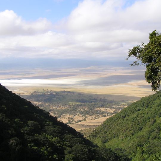 Ngorongoro