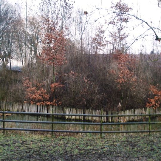 Turmhügelburg Havekost