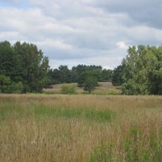 Herrnburger Binnendüne und Duvennester Moor