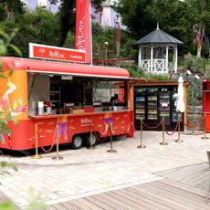 Kasse EINS + ALLES Erfahrungsfeld der Sinne