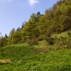 Bachtäler der Hersbrucker Alb