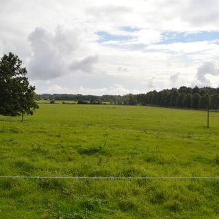 Appleton medieval and early post-medieval settlement