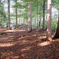 Hügelgräbergruppe in Vochera am Weinberg