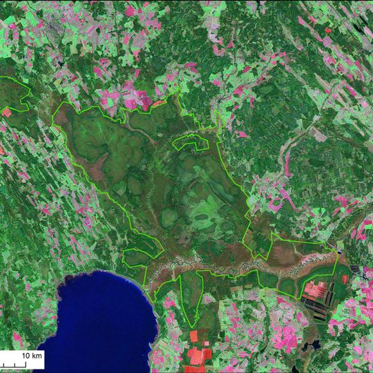 Reserva natural Alam-Pedja