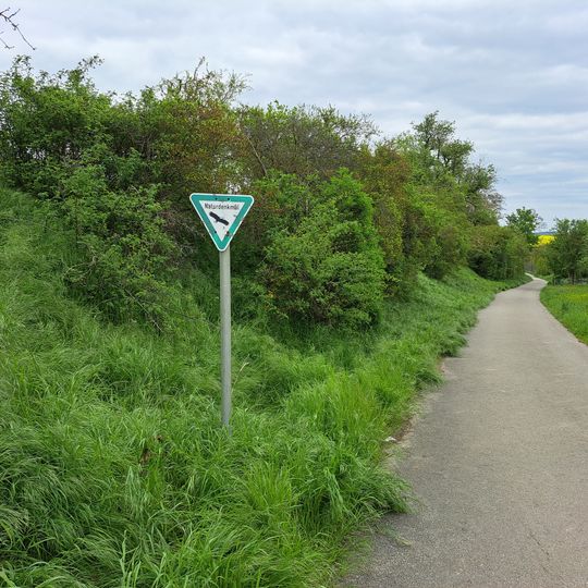 Hecke und Böschung im Guldental