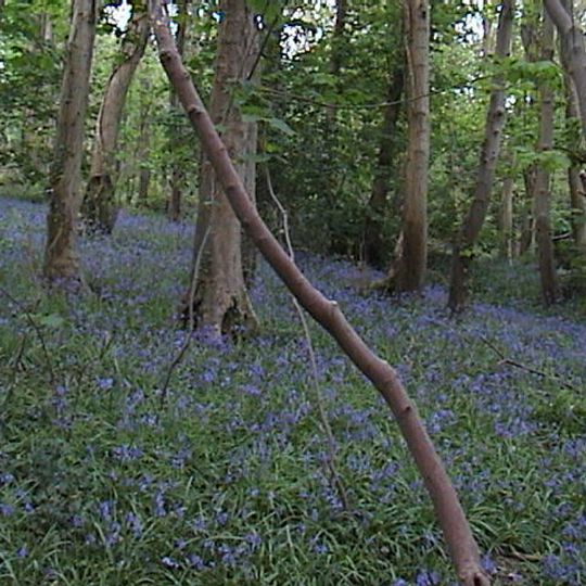 Penglais Nature Park