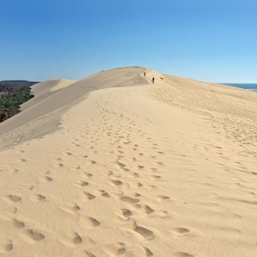 Fotospots rund um das Bassin d'Arcachon: Strände, Austernhütten, Dune du Pilat