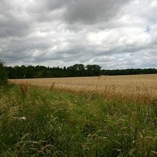 Trundley and Wadgell's Wood, Great Thurlow