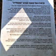 מצפור טאפליין