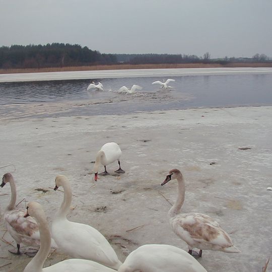Nature reserve Jezioro Liwieniec