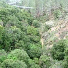 Nesher Park