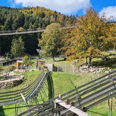 Alpine Coaster im Steinwasenpark