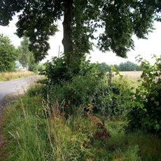 Kříž jižně od Puclic u cesty do Křenov