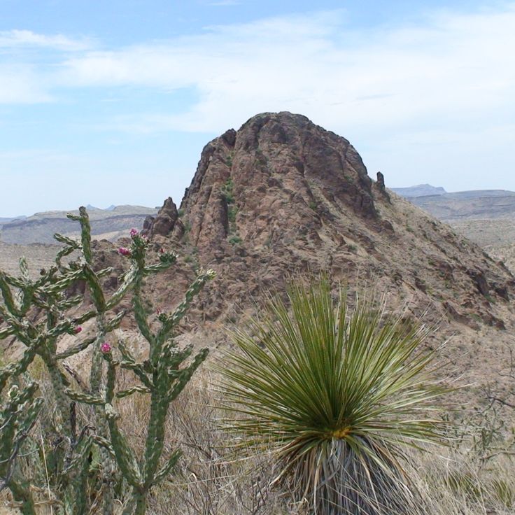 Ørkenparken i Vest-Texas