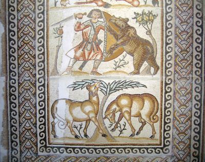 Immagine alternativa