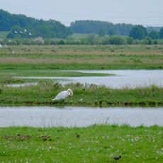 Plaine inondée du Markiezaat