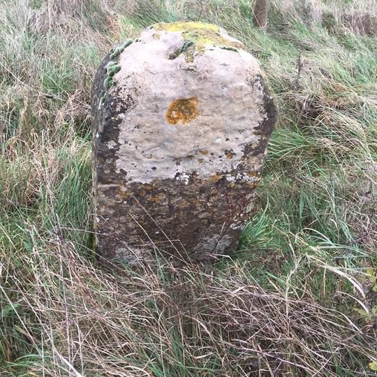 Milestone On Great Lynch