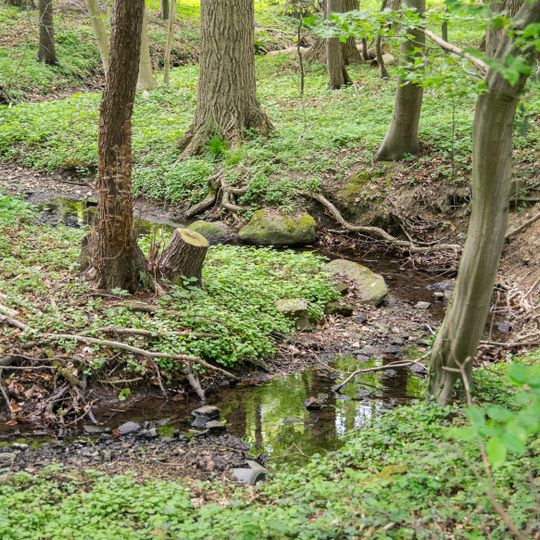 LSG-Sunder- und Bruchbachtal