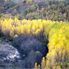 Natural area Tajuña River Valley in Torrecuadrada
