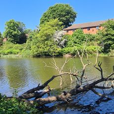 Sutton Mill Dam