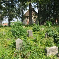 Cmentarz ewangelicki w Żeliszowie