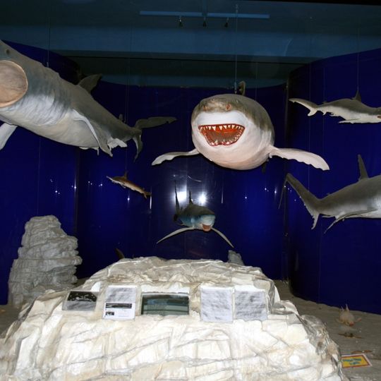 Rijeka Natural History Museum