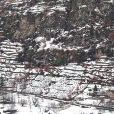 Arnodera - Colle Montabone