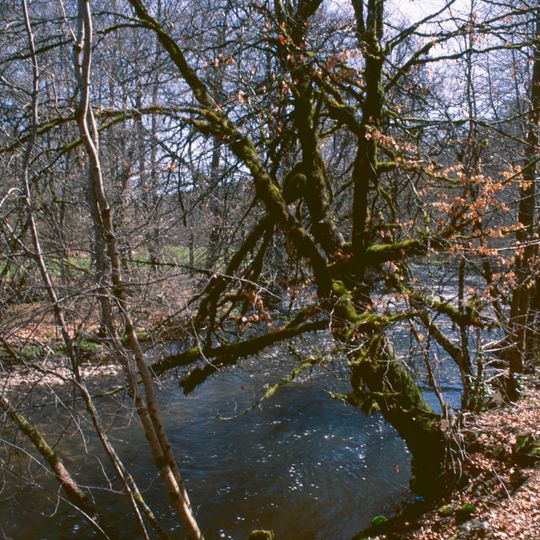 Saint-Pardoux-le-Vieux