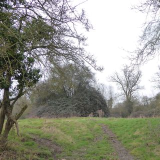 Titchmarsh Meadow