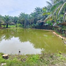 Kolam Pancing Kasman Lizar