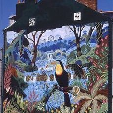 Le Toucan à bec caréné