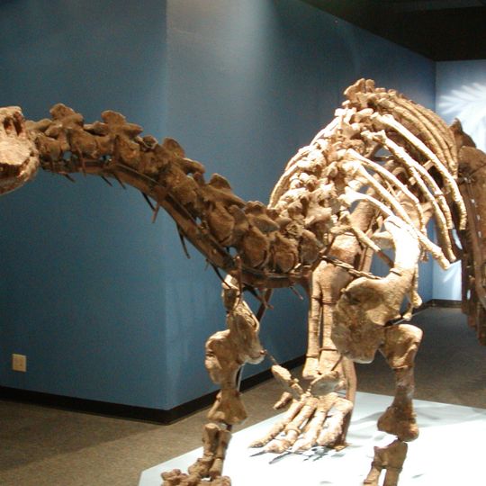 Lufeng Dinosaur Museum